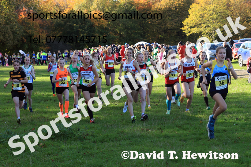 Girls Under-15s, 2025 Start Fitness NEHL, Lambton, County Durham. Photo: David T. Hewitson/Sports for All Pics